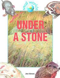 Cover image for Under a Stone