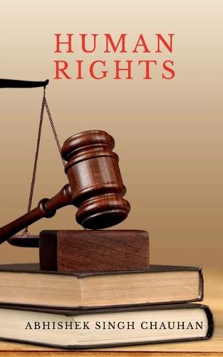 Cover image for Human Rights