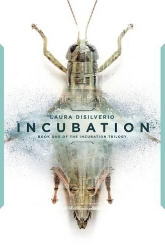 Cover image for Incubation