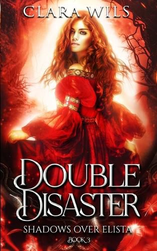 Cover image for Double Disaster: An Epic Fantasy Reverse Harem