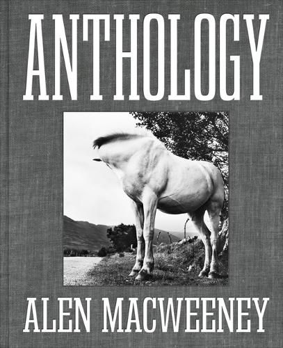 Cover image for Anthology