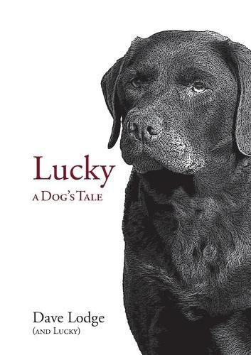 Cover image for Lucky: A Dog's Tale