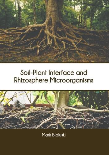 Cover image for Soil-Plant Interface and Rhizosphere Microorganisms
