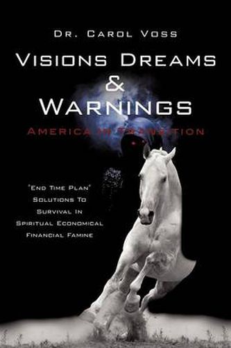 Cover image for Visions Dreams and Warnings America In Transition