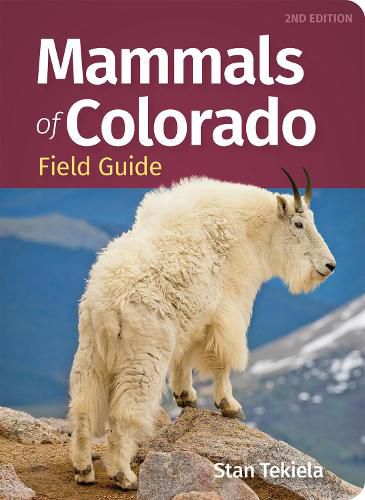 Cover image for Mammals of Colorado Field Guide