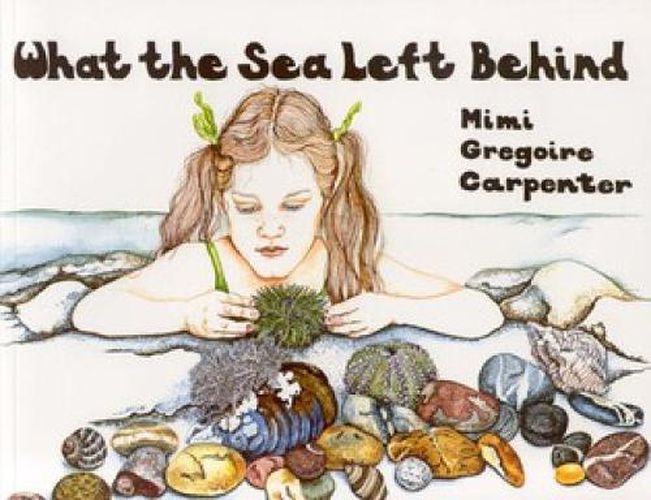 Cover image for What the Sea Left Behind