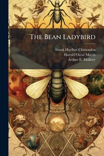 Cover image for The Bean Ladybird