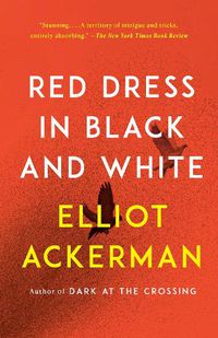 Cover image for Red Dress in Black and White: A novel