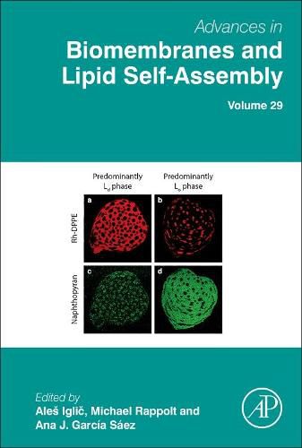 Cover image for Advances in Biomembranes and Lipid Self-Assembly