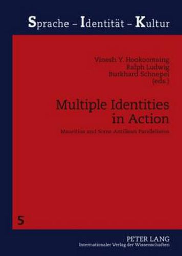 Cover image for Multiple Identities in Action: Mauritius and Some Antillean Parallelisms