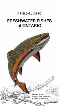 Cover image for A Fish Guide to Freshwater Fishes of Ontario