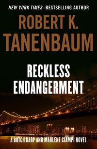 Cover image for Reckless Endangerment