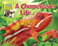 Cover image for A Chameleon's Life