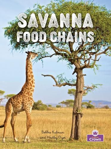 Cover image for Savanna Food Chains
