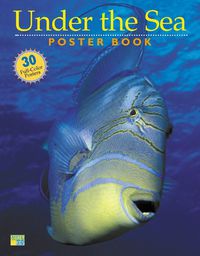 Cover image for Under the Sea Poster Book