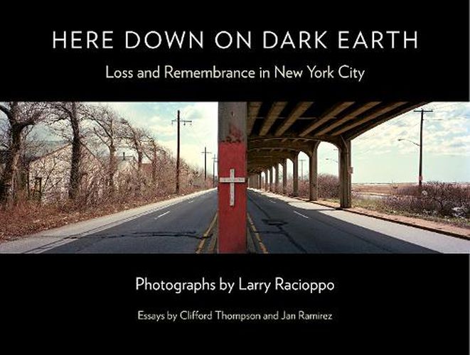 Cover image for Here Down on Dark Earth