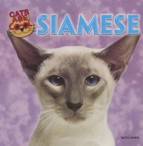 Cover image for Siamese