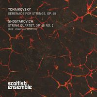 Cover image for Tchaikovsky and Shostakovich for strings