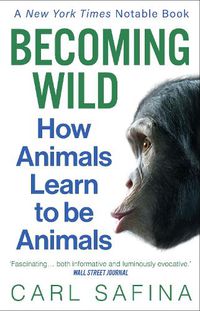 Cover image for Becoming Wild: How Animals Learn to be Animals