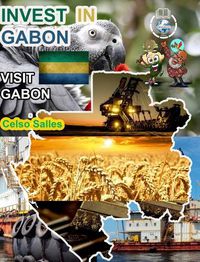 Cover image for INVEST IN GABON - Visit Gabon - Celso Salles