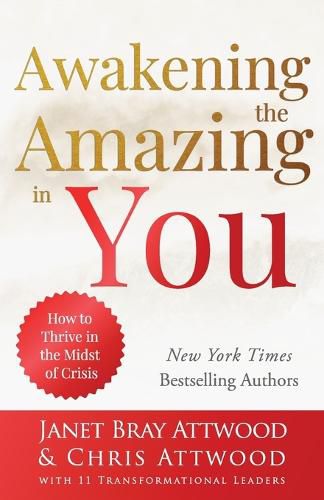 Cover image for Awakening the Amazing in You