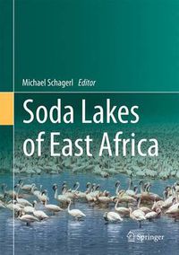 Cover image for Soda Lakes of East Africa