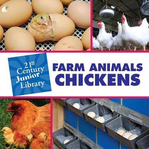 Farm Animals: Chickens