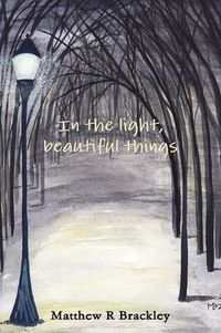 Cover image for In the light,beautiful things