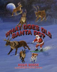 Cover image for What Does Old Santa Do?