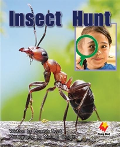 Cover image for Insect Hunt