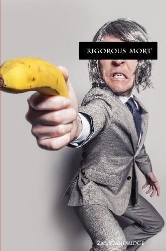 Cover image for Rigorous Mort