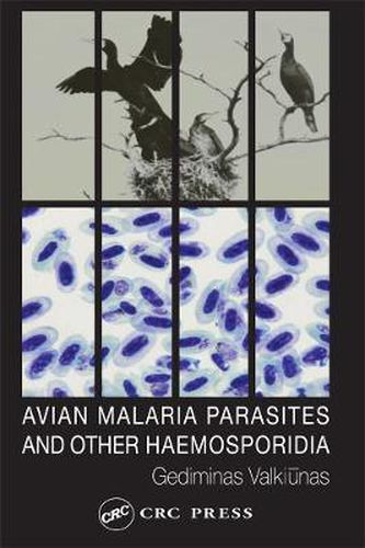 Cover image for Avian Malaria Parasites and Other Haemosporidia