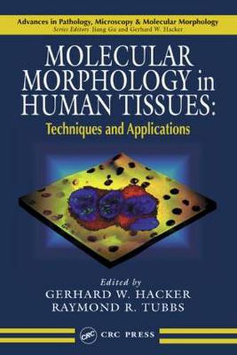Cover image for Molecular Morphology in Human Tissues: Techniques and Applications