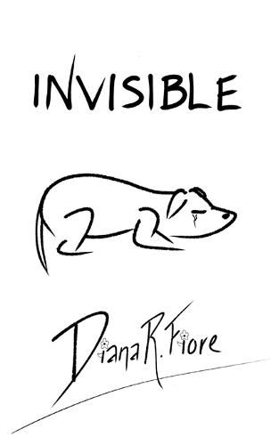 Cover image for Invisible