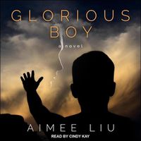 Cover image for Glorious Boy