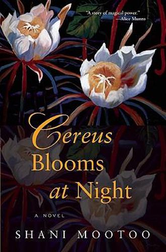 Cover image for Cereus Blooms at Night