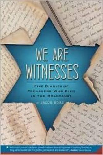 Cover image for We Are Witnesses: Five Diaries of Teenagers Who Died in the Holocaust