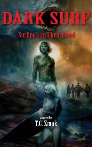 Cover image for Dark Surf