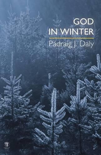 Cover image for God in Winter