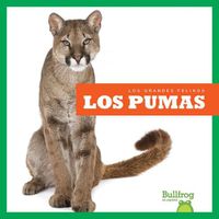 Cover image for Los Pumas (Cougars)