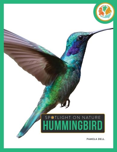 Cover image for Hummingbird