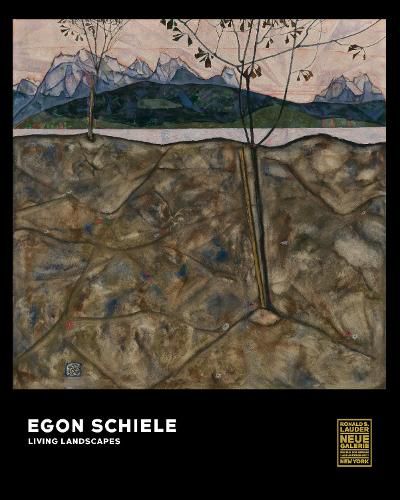 Cover image for Egon Schiele