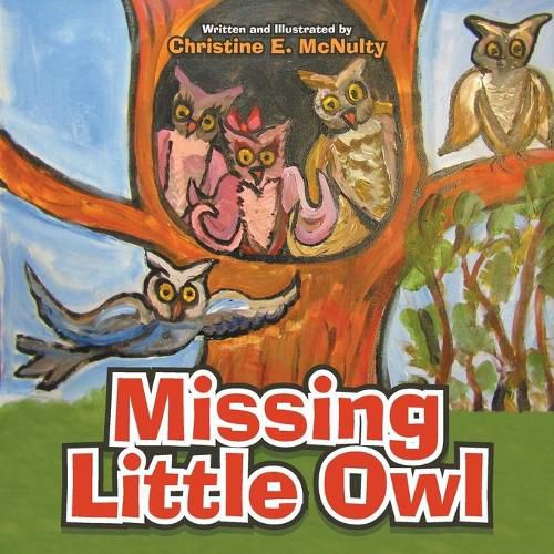 Cover image for Missing Little Owl