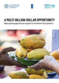 Cover image for A multi-billion-dollar opportunity: re-purposing agricultural support to transform food systems