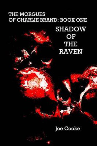 Shadow of the Raven