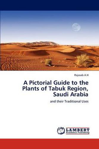 Cover image for A Pictorial Guide to the Plants of Tabuk Region, Saudi Arabia