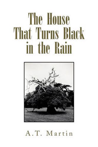 Cover image for The House That Turns Black in the Rain