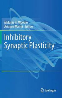 Cover image for Inhibitory Synaptic Plasticity