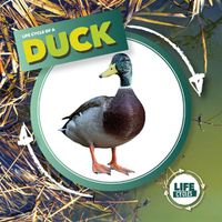 Cover image for Duck