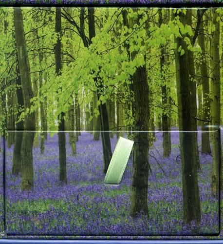 Cover image for Memo Block - Bluebells